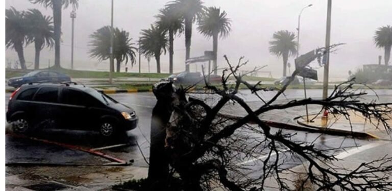 Screenshot_2025-11-15-19-01-08-777_com.android.chrome-edit