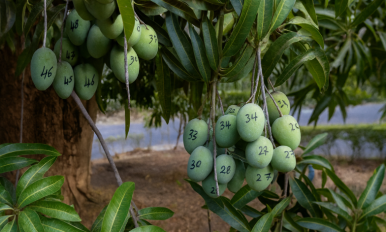 file_0000000062ec71fdbdb12c1a44eea42f-1-780x470