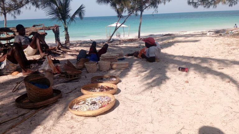 Imagem-WhatsApp-2025-11-04-as-14.19.52_41c3955a