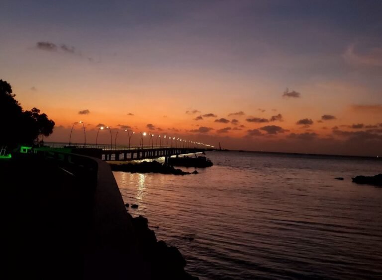 641426767_1357938996365101_8313388478104235694_n