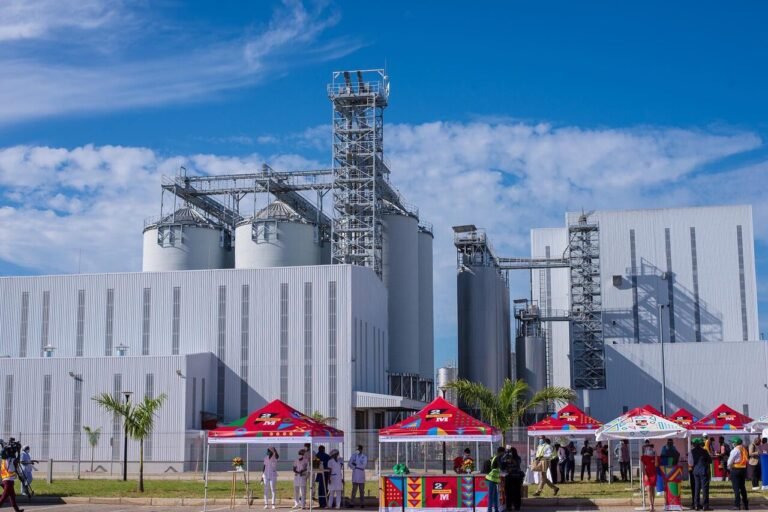 CDM_Easy-Resize.com_