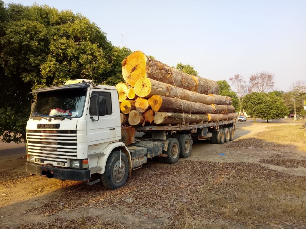 Transporte-de-Madeira