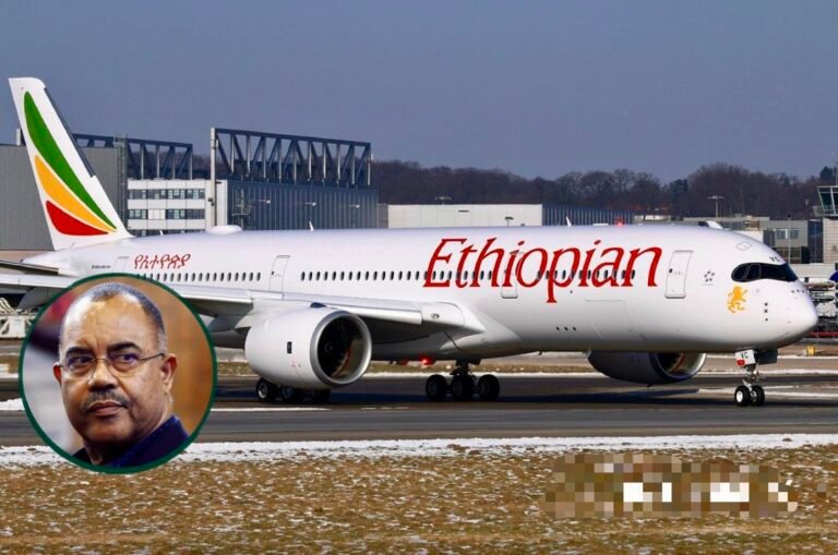 8ccd2cf9-2ef5-429b-a1e5-067ceb7be3d8