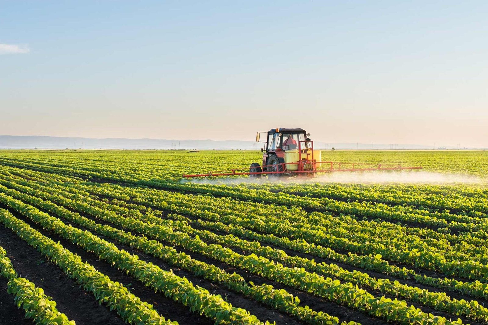 Agricultura--2048x1365