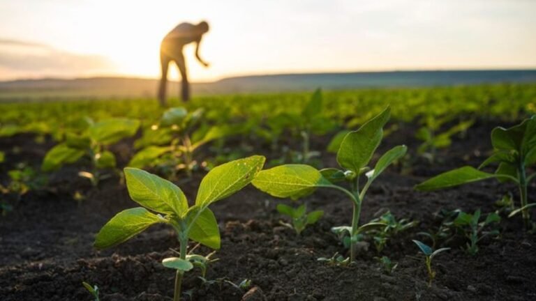 Agricultura-regenerativa-715x402_Easy-Resize.com_